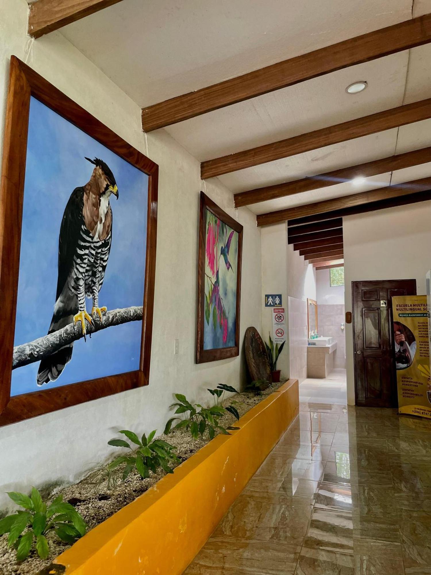 Heliconias Rainforest Lodge Bijagua Exterior foto